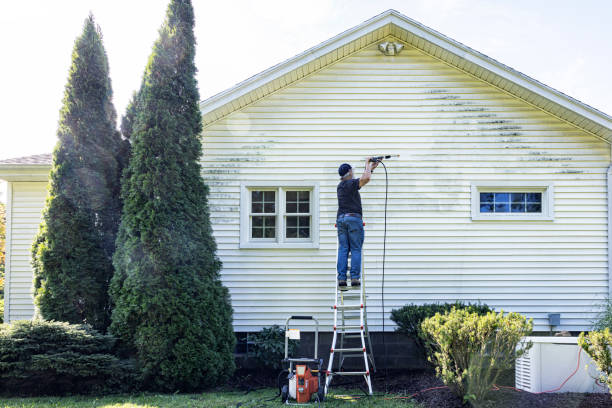 Best Pre-Holiday Cleaning  in Healdton, OK
